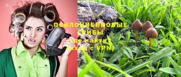 бошки Михайловка