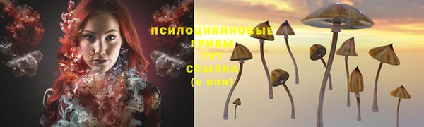 mix Магас