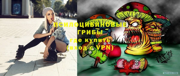 шишки Саяногорск