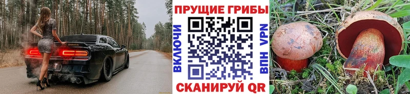Галлюциногенные грибы MAGIC MUSHROOMS Юрга