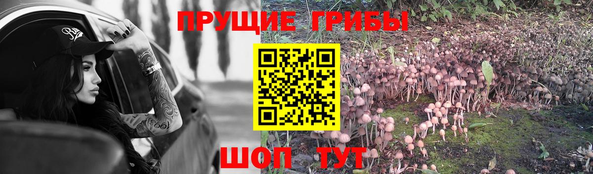 Псилоцибиновые грибы ЛСД  Галлюциногенные грибы Magic Shrooms  Юрга  Вход с VPN 